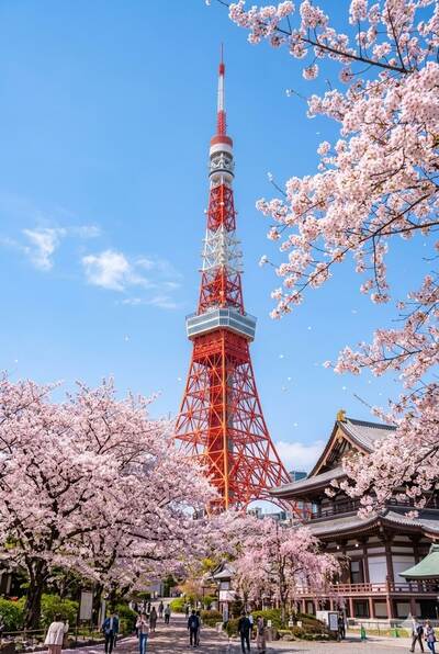 Tour de télécommunication Tokyo Skytree - Japon (Photo d'illustration)